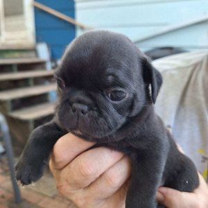 Meet your Posher, Tim